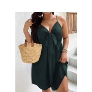 Plus size dress